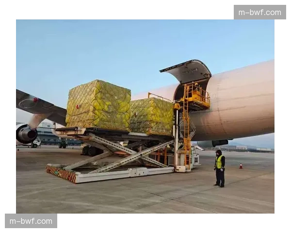 宁波机场增加国际航班，便利海外代表团抵达