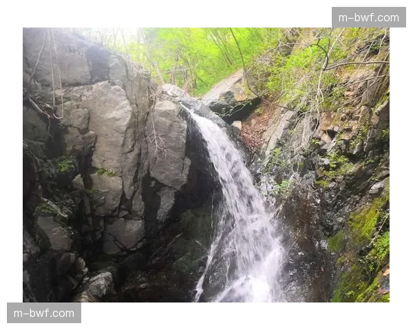 从三连败到三连胜，萨里如何带领拉齐奥走出低谷